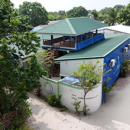 Keyodhoo  Leaf Fish Guesthouse Maldives المظهر الخارجي الصورة