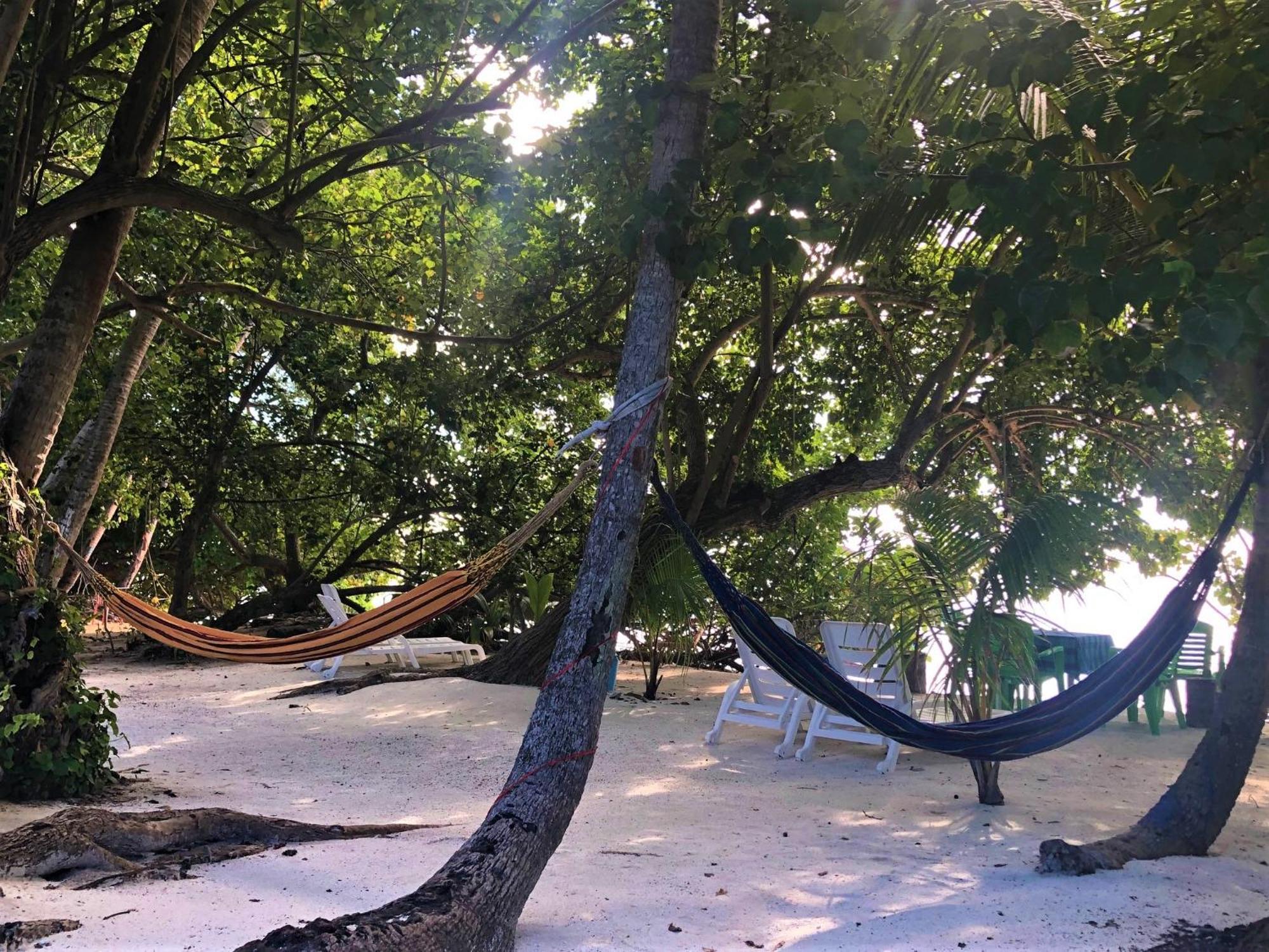 Keyodhoo  Leaf Fish Guesthouse Maldives المظهر الخارجي الصورة