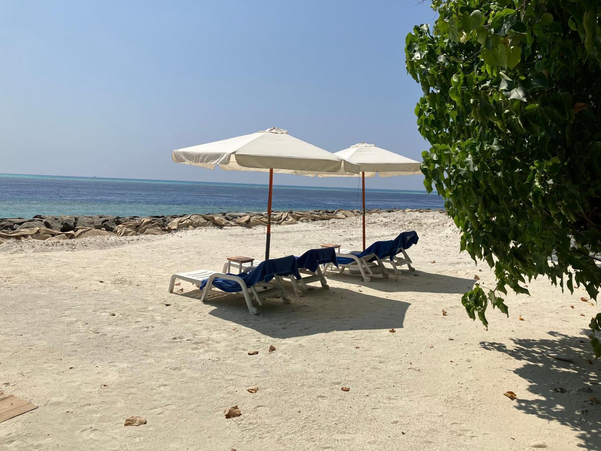 Keyodhoo  Leaf Fish Guesthouse Maldives المظهر الخارجي الصورة